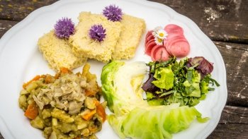 Hr&aacute;ch se smaženou cibulkou, j&aacute;hlov&eacute; řezy