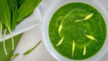 Pol&eacute;vka z česneku mědvěd&iacute;ho