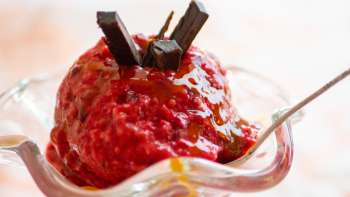 Dom&aacute;c&iacute; zmrzlina ze zahrady