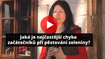 Jak&aacute; je nejčastěj&scaron;&iacute; chyba zač&aacute;tečn&iacute;ků při pěstov&aacute;n&iacute; zeleniny?