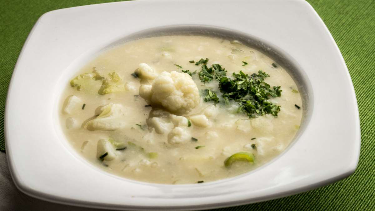 Kr&eacute;mov&aacute; květ&aacute;kov&aacute;